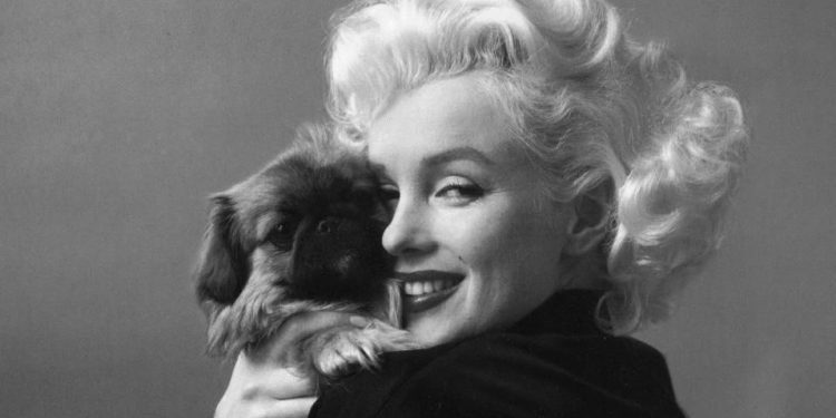 monroe