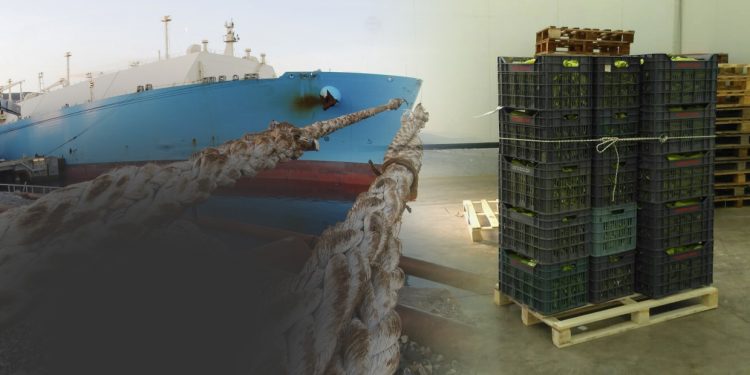 Moored LNG tanker.