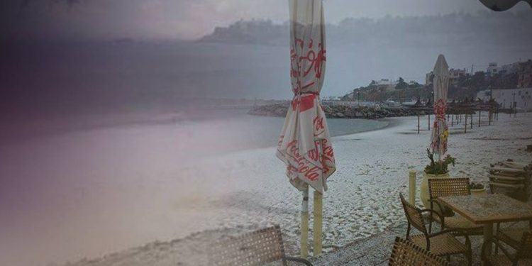 paralia-exo