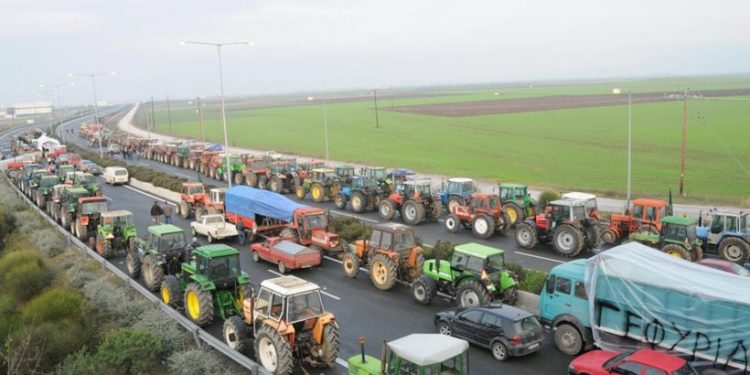 agrotes