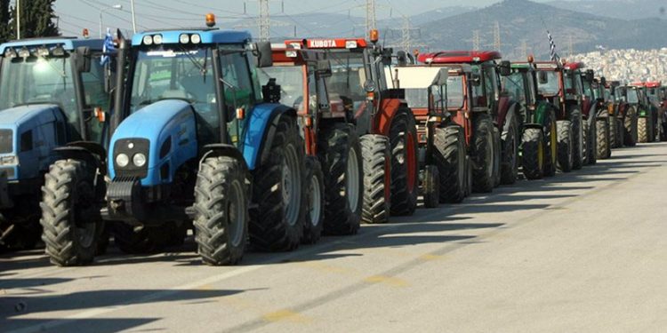 agrotes