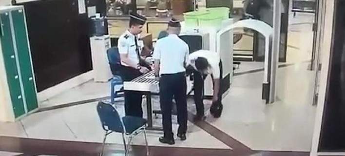 pilotos