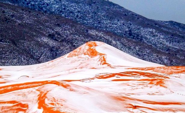 sahara-xionia-2