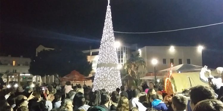 xristougenniatiko-dendro-gazi-1
