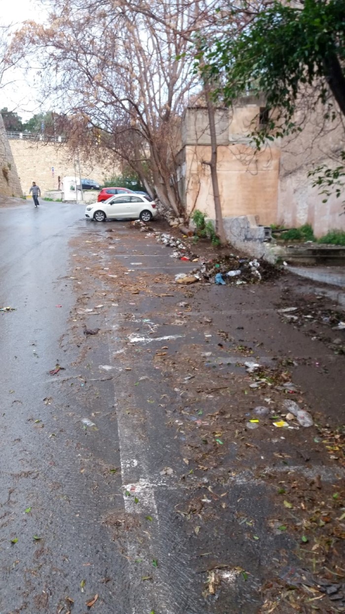 Η περιοχή πριν τον καθαρισμό.