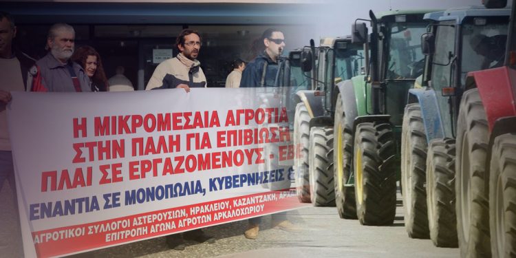 agrotes-mploka-exo
