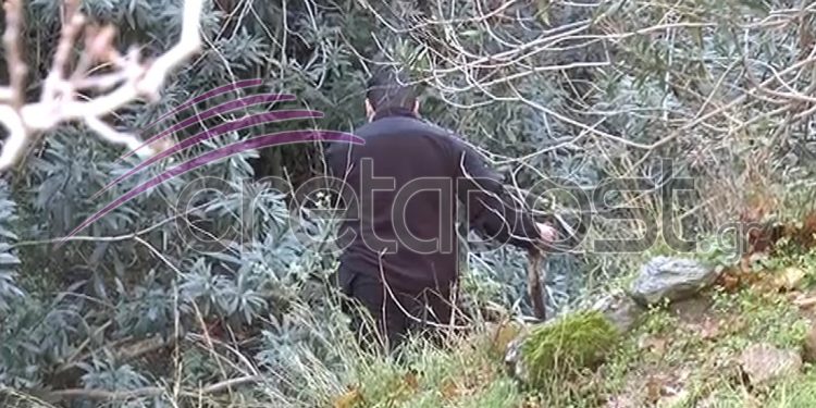 Οι αστυνομικοί ψάχνουν σπιθαμή προς σπιθαμή όλη την περιοχή.
