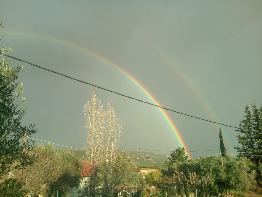 Η φωτογραφία είναι του Βασίλη Λιλικάκη από τον Φρε Αποκορώνου Χανίων ο οποίος την ανάρτησε στην ομάδα «Μετεωκρήτες».