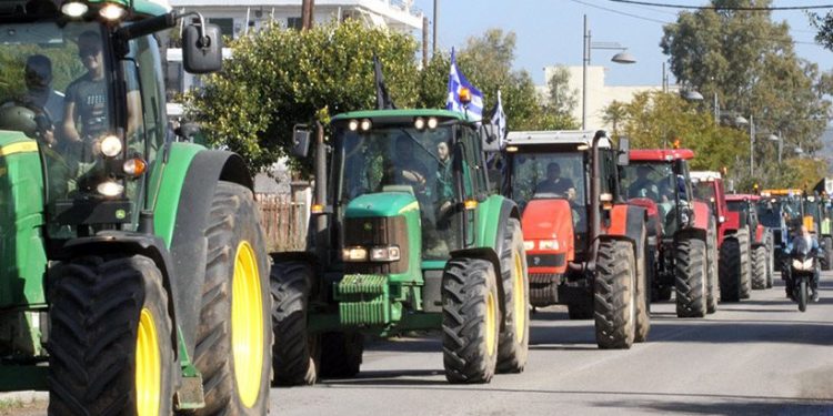agrotes