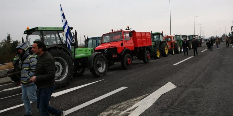 agrotes