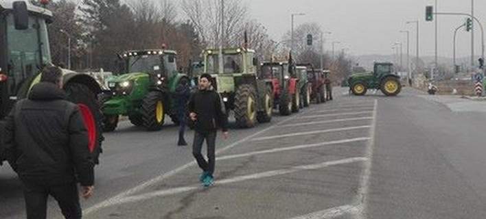 agrotes