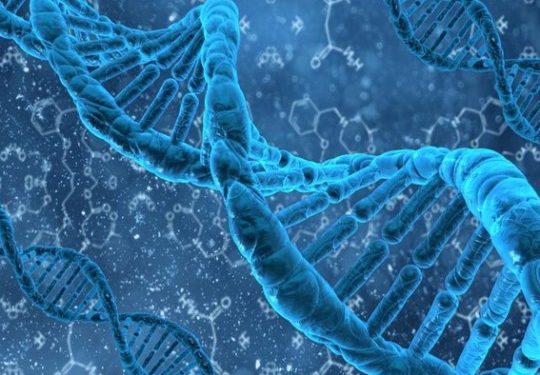 dna3101-540x380
