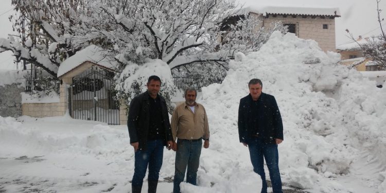 kamariotis-2