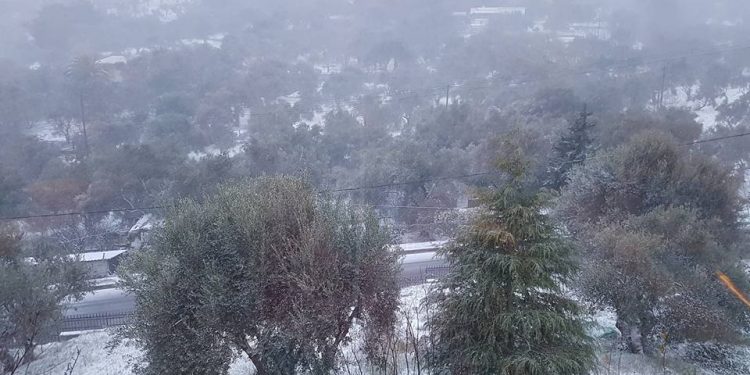 lesvos-xionia-4
