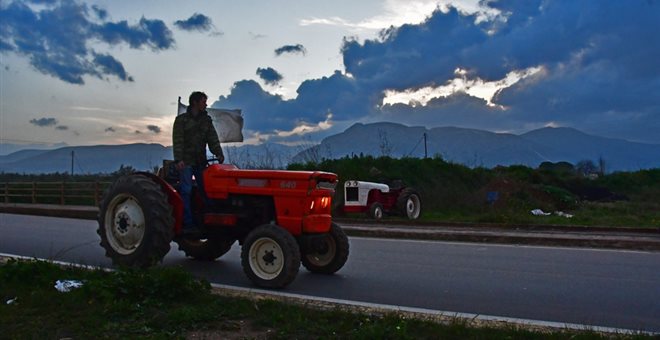 agrotes