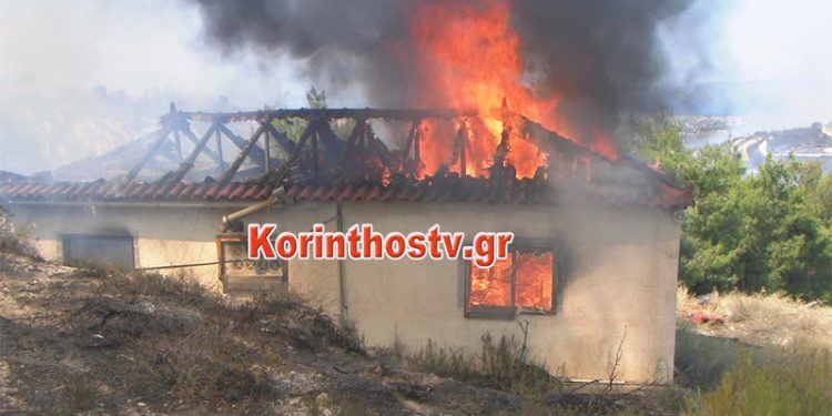 kor1