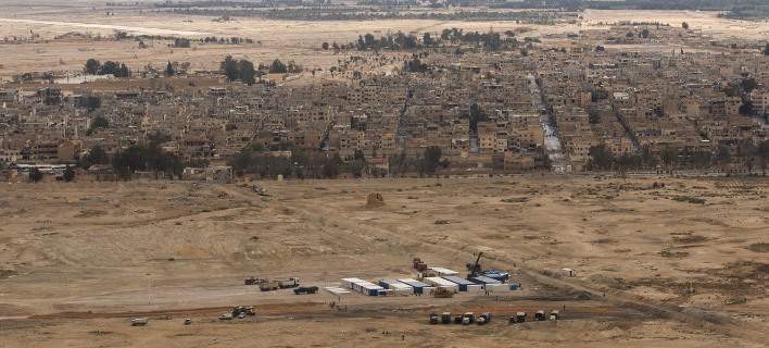 palmyra