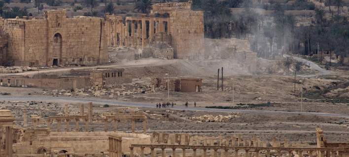 palmyra
