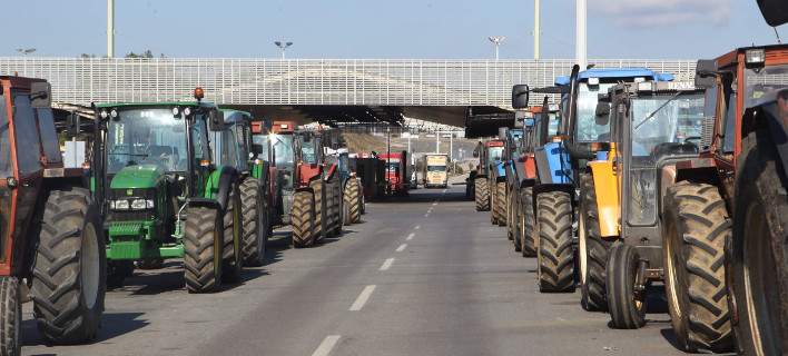 agrotes