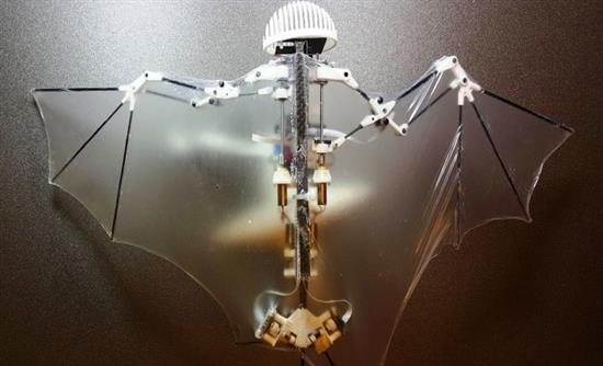 bat-robot