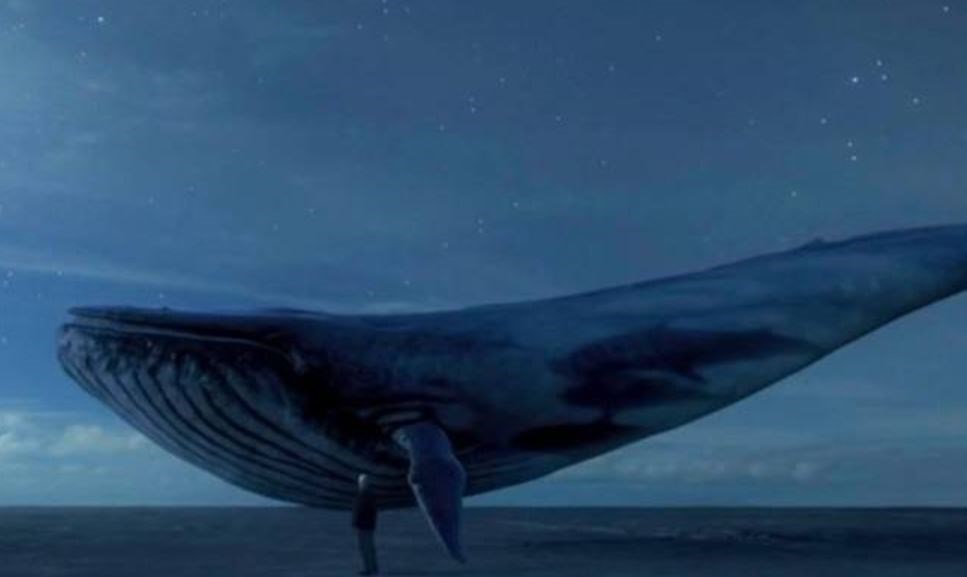 blue-whale2