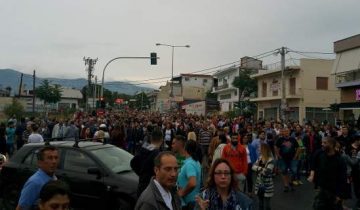 menidi