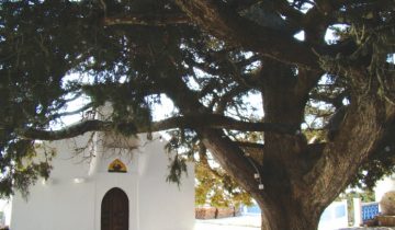 monastirixalki