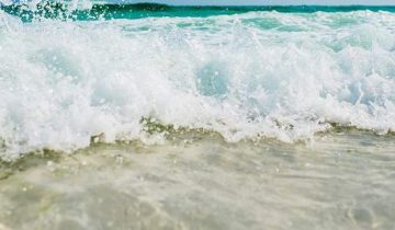 thalassa