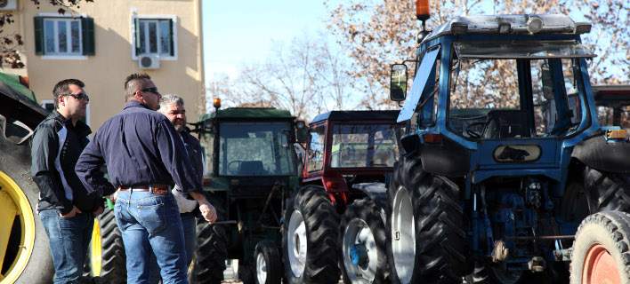 agrotes