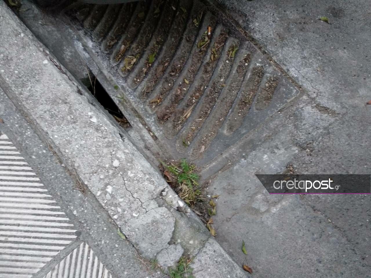 freatia-omvrion6