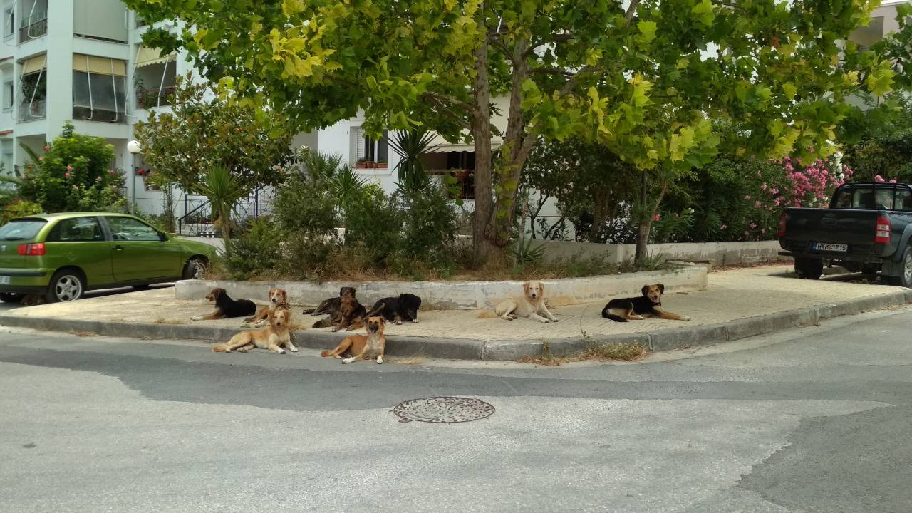 Χθεσινό στιγμιότυπο από την περιοχή του Κατσαμπά.