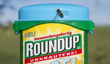 Monsanto ordered to pay 289 million US dollars in California Roundup cancer trial