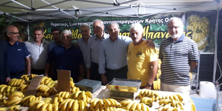 vardakis_festival_bananas_100818a