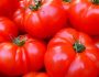 ntomates