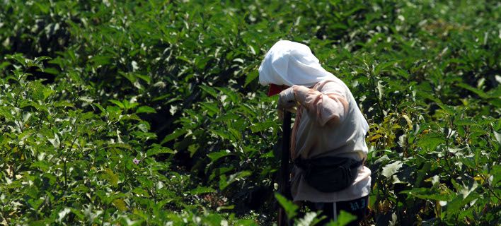 agrotissa