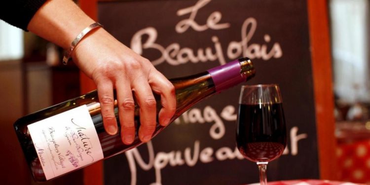 beaujolais-nouveau