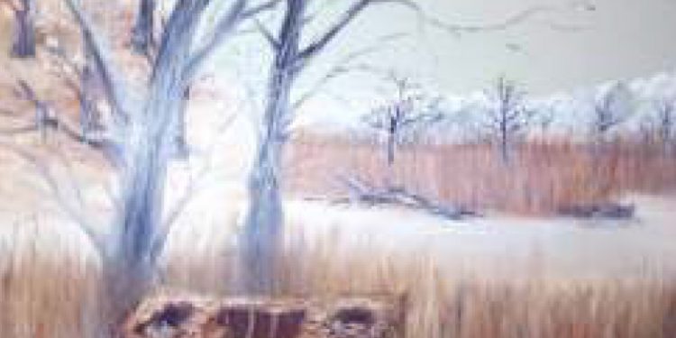 Untitled-1