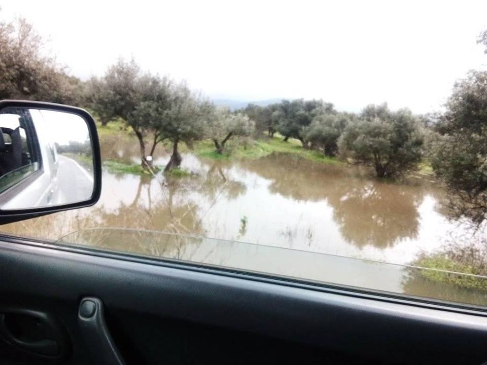Περιοχή Αρχαγγέλου (φώτο Σταυρουλάκη Χρυσή, Cretanweather.gr)