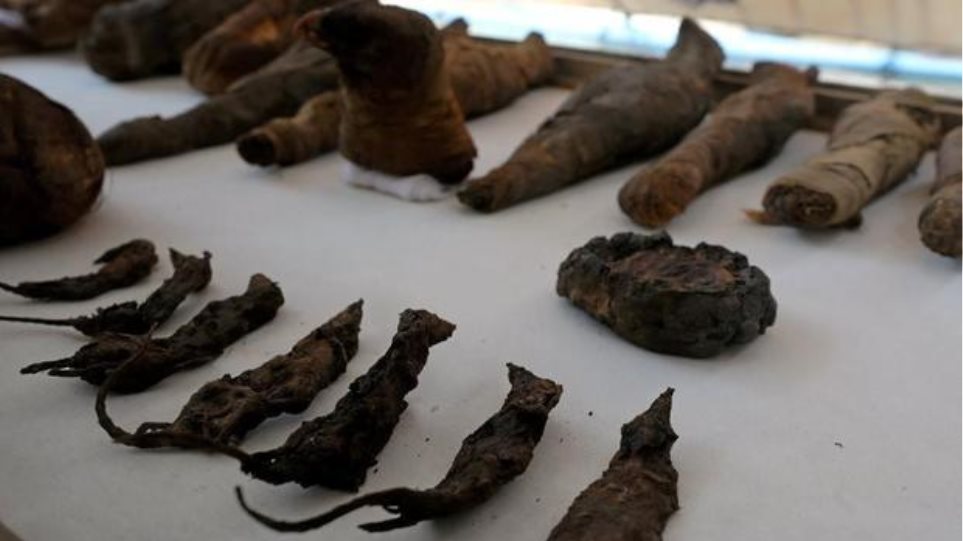 Είναι ένα 19 ετών που χρονολογείται από 15