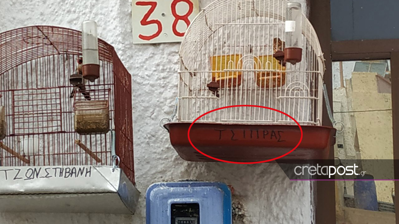 Φωτογραφία πριν τις εκλογές