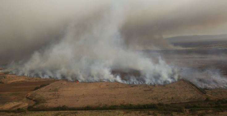 Hawaii Brush Fire