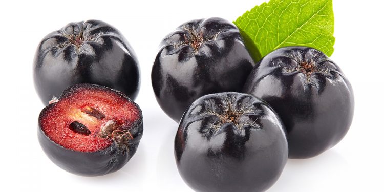 aronia