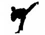 taekwondo