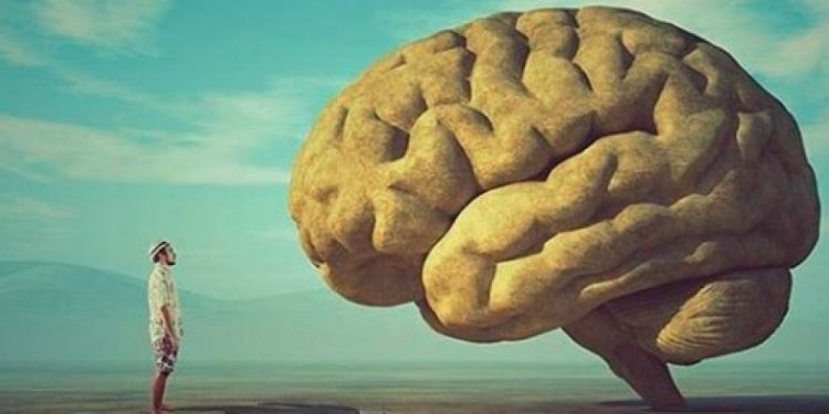 brain_eu_photo_untitled