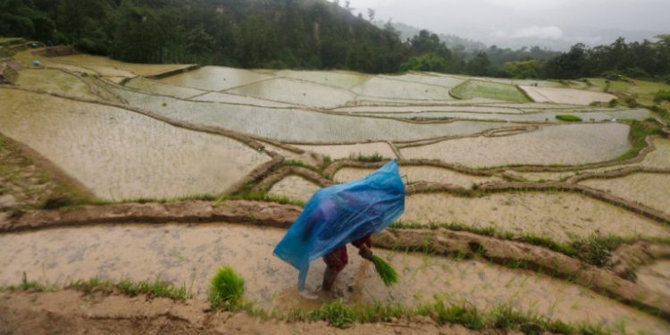 nepal-andras-xorafi-rizi