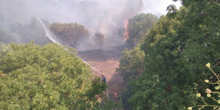 pyrkagia-pirkagia-fotia-xios-alitheia-01-07-2020