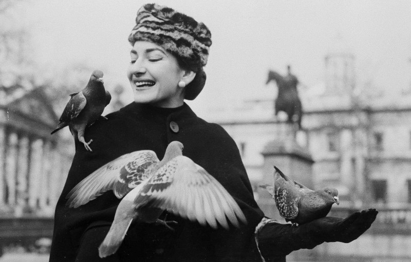 Opera Soprano Maria Callas holds and feeds pigeons in Trafalgar Square, in London, Feb. 4, 1957. Miss Callas is currently starring in the title role in Bellinis Norma at the Royal Opera House in Covent Garden district of London. (AP Photo)