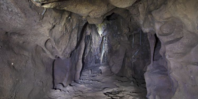 gibraltar-national-museum-cave