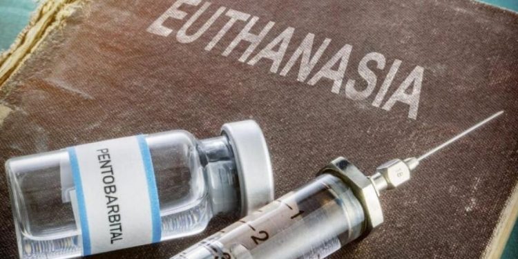 euthanasia-029502