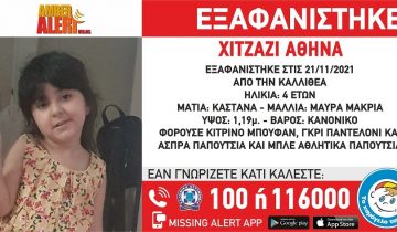 exafanisi-6